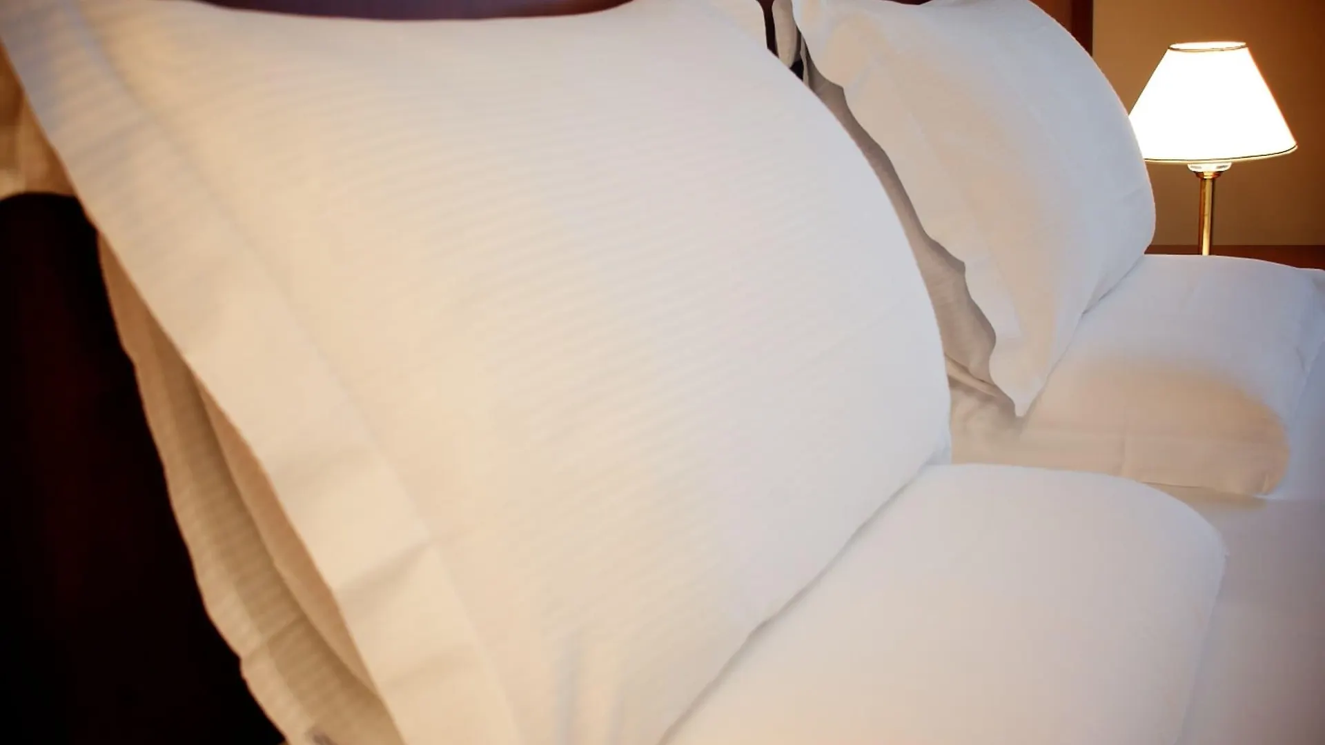 Hotel Canon D'Oro Conegliano